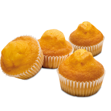 MAGDALENAS sin gluten 160g (4ux40g)